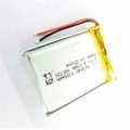 FT903040P 3.7V 1100mAh Customizable Rechargeable Li-po Battery For Electronic De 2