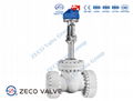 Cryogenic Ball Valve 1