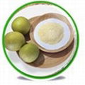 Monk Fruit Extract 