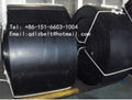 high temperature resistant steel mesh conveyor belt 2