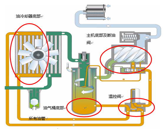 凌格风空压机专用油 3