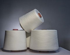 100% Ne 30/1 Spun Polyester yarn