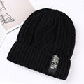 Factory Wholesale Winter Hat Women/Men Beanie Knitted Hat Warm Cool Beanie Caps 2