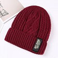Factory Wholesale Winter Hat Women/Men Beanie Knitted Hat Warm Cool Beanie Caps 4