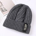 Factory Wholesale Winter Hat Women/Men Beanie Knitted Hat Warm Cool Beanie Caps 5