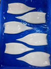 Seafrozen Squid Tube