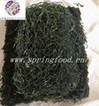 Dried Seaweed