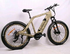 electric bicycle