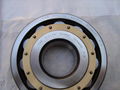 Cylindrical Roller Bearing