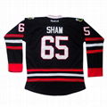 embroidery oem custom sublimated ice hockey jersey