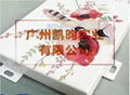 广州凯昀现代艺术彩绘铝扣板天花 1