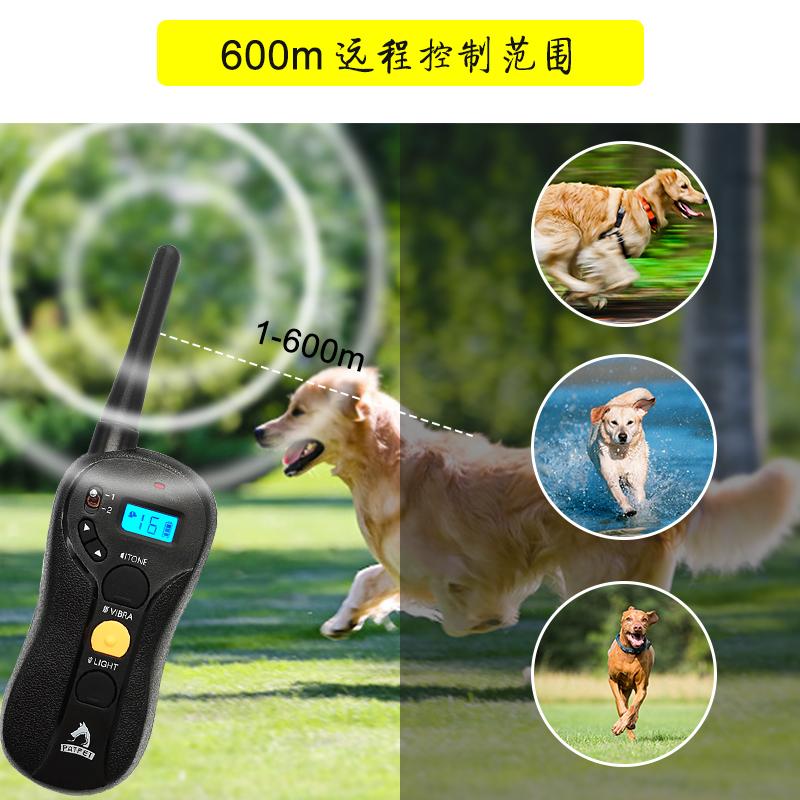 Wholesale dog collar no shock Puppies Remote Pet Training Collar For Dog With Bl 2