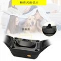 Wholesale dog collar no shock Puppies Remote Pet Training Collar For Dog With Bl 3