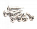 Self-Drilling Screws 1