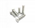 Hex Bolts 1