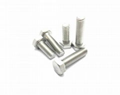 Hex Bolts