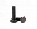 Hex Tap Bolts