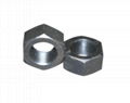 Hex Nuts