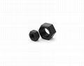 Heavy Hex Nuts