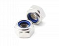 Hex Nylon Insert Lock Nuts 1