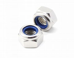 Hex Nylon Insert Lock Nuts