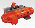 Dust-type explosion-proof electric hoist for forest products