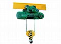 Electric hoist for sewage treatment plant