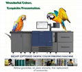 Cmyk Digital Color Printing Machine SEAP CP7000 1