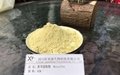 黃芩提取物CAS21967-41-9