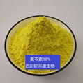 黄芩素 CAS 491-67-8  2