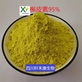 槲皮素 CAS6151-25-