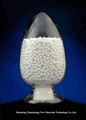 Activated Alumina 