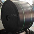 Conveyor belt for chemical plant