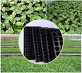 China wholesale Cheap flat plastic seed tray for nursery