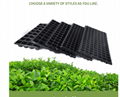 China wholesale Cheap flat plastic seed tray for nursery 2