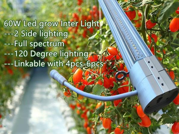 60w linkable connection full spectrum IP65 Waterproof Double Sides linear LED gr 2