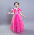 Elsa Frozen Dress For Girl Dress Up Elsa