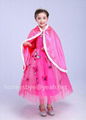 Hot Selling Children Dress Role Play Frozen Elsa Princess Dress 4