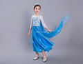 Frozen Dress Anna Princess Dress Elsa Snow Party Queen Costume 2