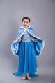 Frozen Dress Anna Princess Dress Elsa Snow Party Queen Costume