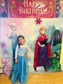 Frozen Dress Anna Princess Dress Elsa Snow Party Queen Costume