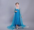 Party Dress Princess Dress for Elsa Costumes with Shining Long Cap 1