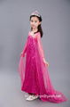 Party Dress Princess Dress for Elsa Costumes with Shining Long Cap 3