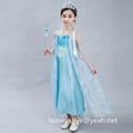 Frozen Dress is for Children Elsa Anna Costume Party Dress 2