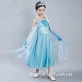 Frozen Dress is for Children Elsa Anna Costume Party Dress 3