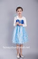 Hot Selling Role Play Frozen Elsa Princess Dress for Children Dress 4