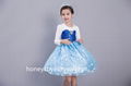 Hot Selling Role Play Frozen Elsa Princess Dress for Children Dress 5