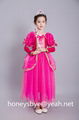 Beauty costumes Aurora Princess Dress Cosplay Costume Kids Dress Party Dress 1