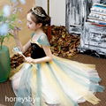 Frozen Elsa Costume for Kids Dress Up