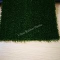 Artificial grass for decoration and landscape
